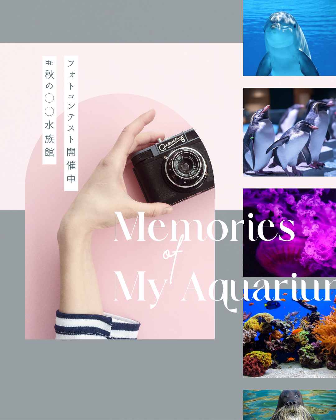 インスタグラム