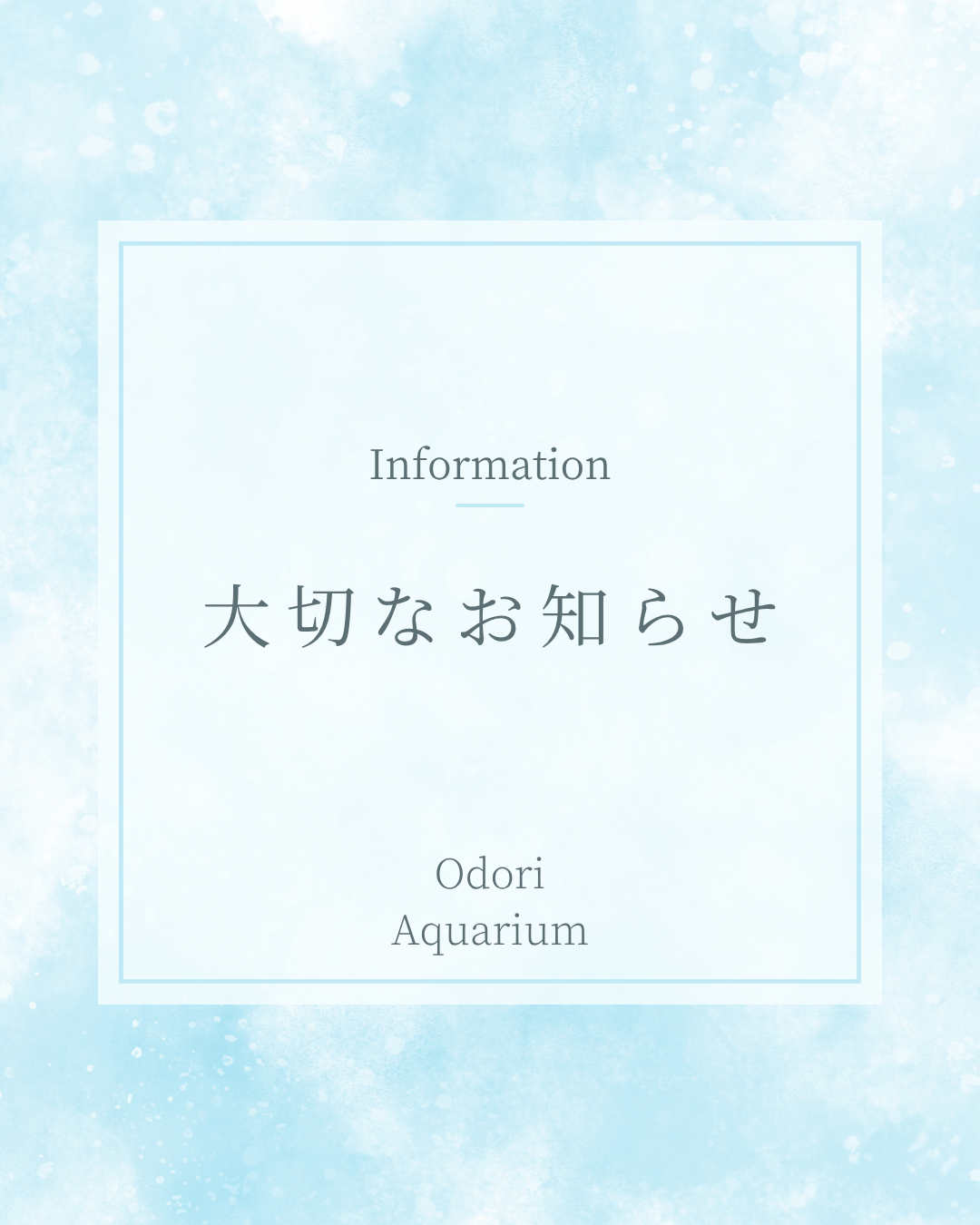 インスタグラム